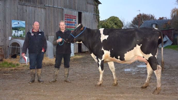 Gaec de la Cour de la Roe - Mayenne Holstein