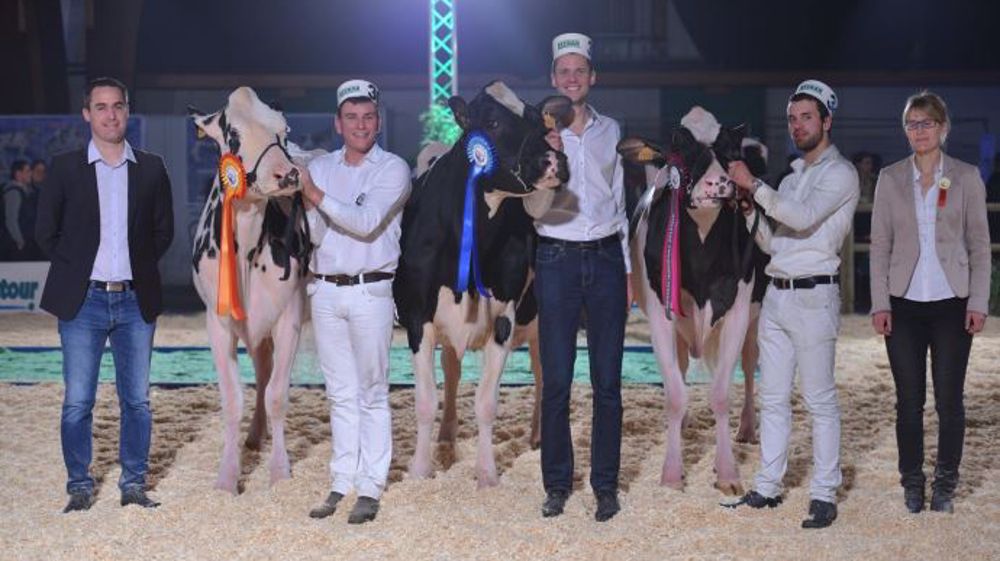 Escale, du Gaec Michard, remporte pour le seconde fois le Farmingtour Open Show Holstein. Elle est entourée de sa réserve, Just et PLK Houlgate, mention honorable. (©DR) Escale, du Gaec Michard, remporte pour le seconde fois le Farmingtour Open Show Holstein. Elle est entourée de sa réserve, Just et PLK Houlgate, mention honorable. (©DR)