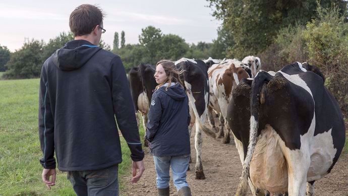 Le wwoofing une activité non présumée salariée, au même titre que l’entraide ou le bénévolat