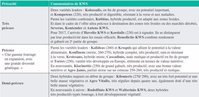 Maïs fourrage KWS 