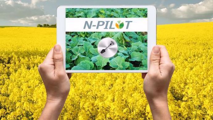 Le N-Pilot estime de manière fiable la biomasse des colzas jusqu'à 3,5 kg/m².