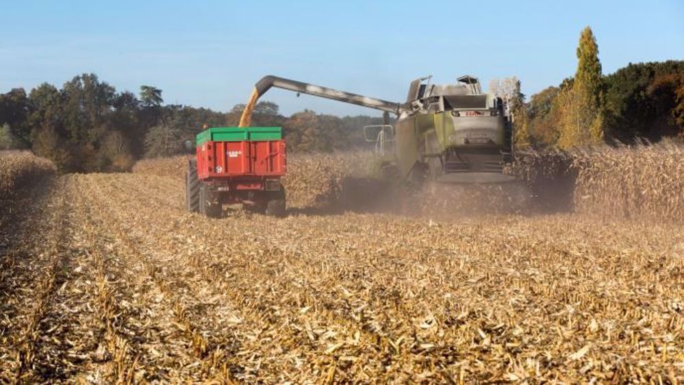 Les biocarburants conventionnels produits essentiellement à partir de maïs atteignent leur plafond de développement en 2017 aux Etats-Unis. (©Watier Visuels)
