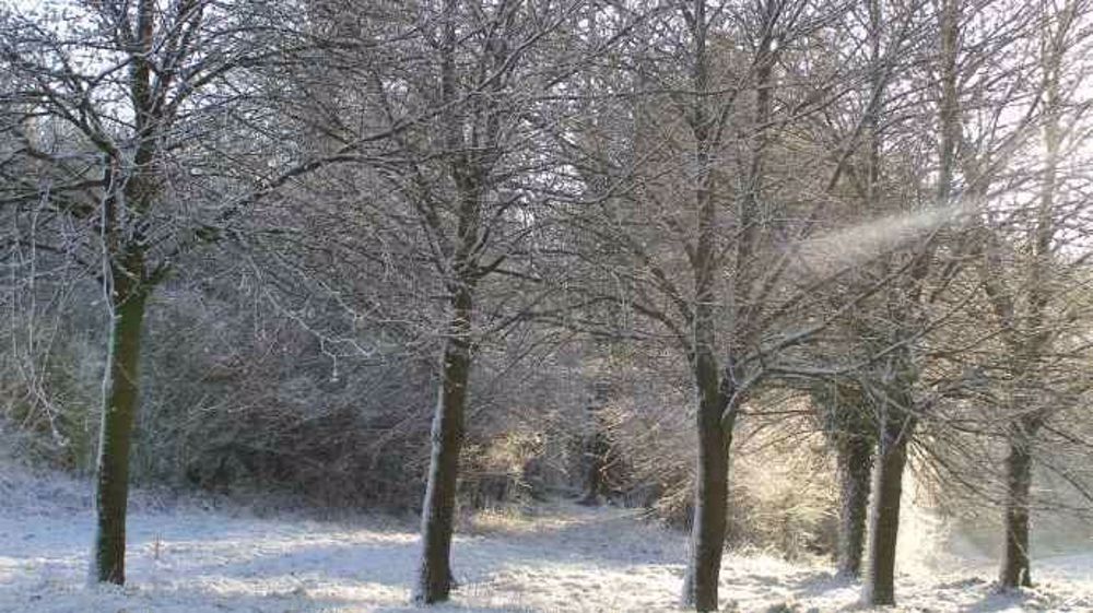 La neige pourrait  tomber sur les massifs montagneux à Noël. (©Terre-net Média)