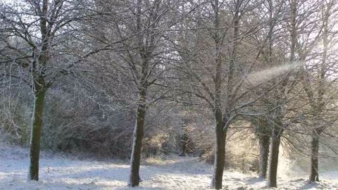 La neige pourrait  tomber sur les massifs montagneux à Noël. (©Terre-net Média)