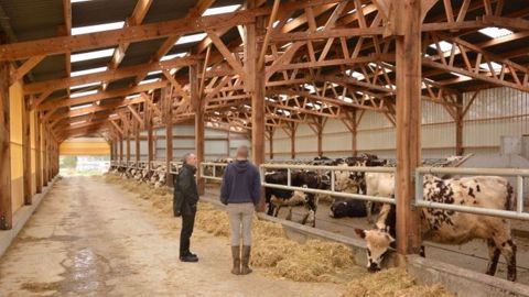 Les mesures agricoles de la loi Sapin 2 publiée le 10 décembre 2016 concernent surtout la filière laitière. (©Watier visuels) Les mesures agricoles de la loi Sapin 2 publiée le 10 décembre 2016 concernent surtout la filière laitière. (©Watier visuels)