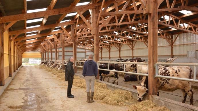 Les mesures agricoles de la loi Sapin 2 publiée le 10 décembre 2016 concernent surtout la filière laitière.