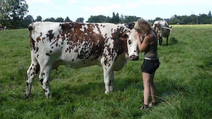 Maëlle Hameau treavaille d'arrache pied pour pérenniser l'élevage familial.