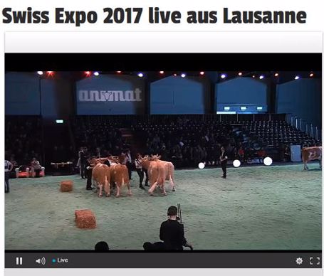 Les concours de Swiss'expo en direct