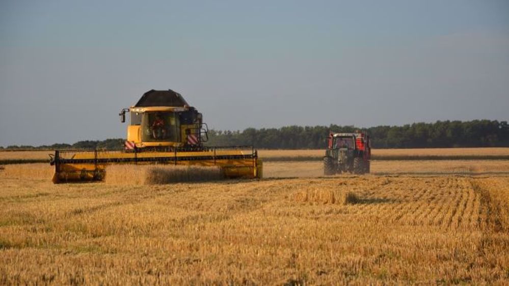 « Les <strong>cours du blé</strong> ont profité d'évaluations publiées en début de semaine par l'USDA<br />sur l'<strong>état des cultures d'hiver</strong> », a rapporté M. Nelson. (©Terre-net Média)