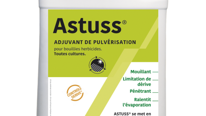 Astuss
