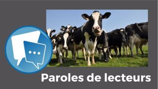 Tomy : « Eh oui, ça marche, les vaches laitières sont bien des herbivores ! » (©Terre-net Média) Tomy : « Eh oui, ça marche, les vaches laitières sont bien des herbivores ! » (©Terre-net Média)