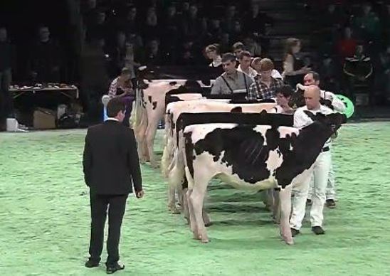 Jugement holstein swiss expo 2017
