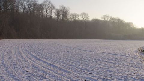 La neige est la meilleure alliée des cultures en cas de gel. (©Terre-net Média)