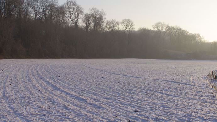 Parcelle sous la neige.