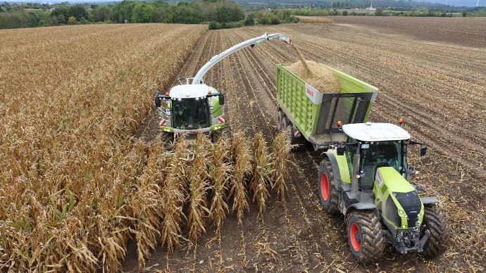 Claas Jaguar 900 Shredlage