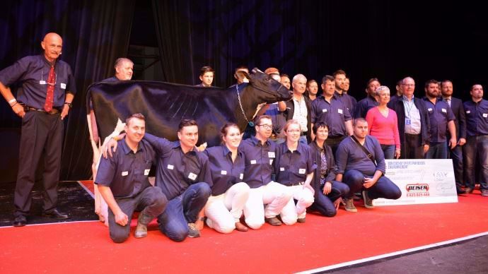 Carrefour des ventes aux enchères 2017 races laitières