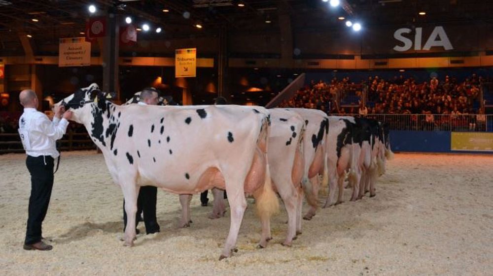 Les vidéos des concours ont été retransmises en live du Salon de l'agriculture. (©Terre-net Média) 