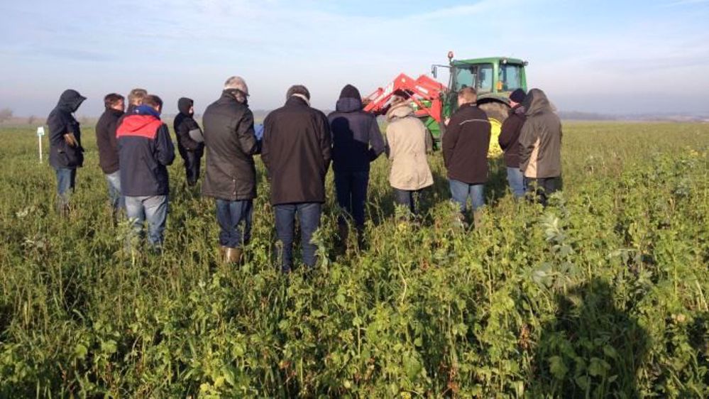 Visite d'une plateforme dédiée aux couverts végétaux installée chez un agriculteur Dephy. (©Négoce nord-est)