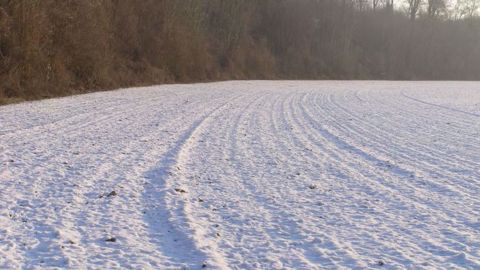 Certaines parcelles d'Ukraine et de Russie sont recouvertes de croûtes de glace. (©Terre-net Média)
