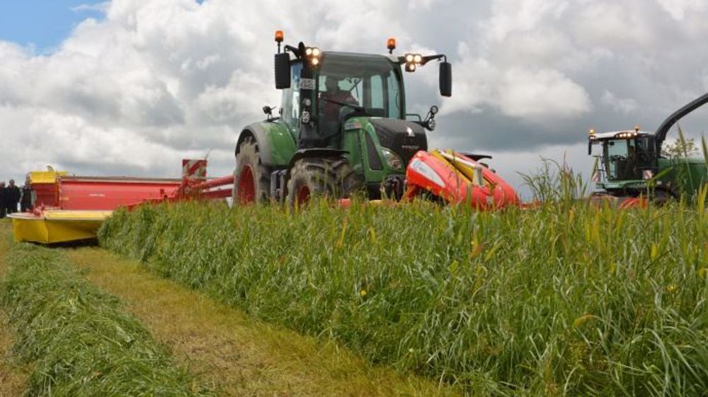 Pour une prairie de fauche, évitez les RGA tardifs et le trèfle blanc. De même, pour une prairie de pâturage, il faut dans la mesure du possible éviter le RGH, le dactyle, la fléole, le trèfle violet et la luzerne qui ne sont pas les mieux adaptés. (©Terre-net Média)