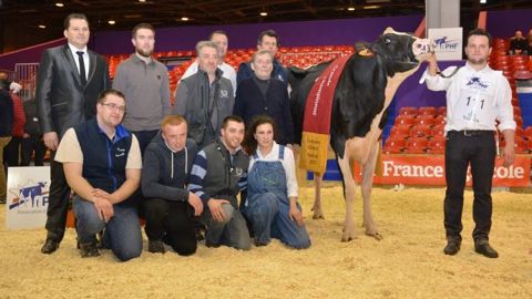 L'équipe du Nord (59) avec la Miss Paris 2017 : Du Louvion Harlinda (Gold Chip) copropriété des élevages Lepoint, Leroy et Verhille. L'Earl Lepoint réalise l'exploit de remporter les championnats en noire et en rouge ! (voir palmarès red-holstein en bas de page). (©Terre-net Média)