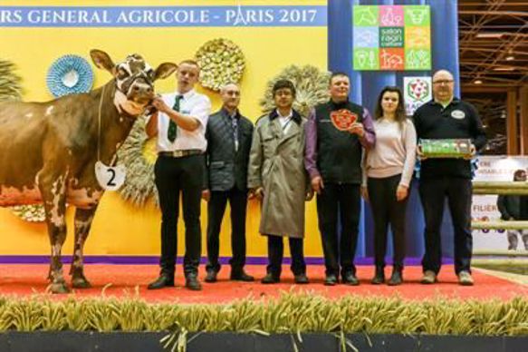 Jacquette, prix d'honneur jeune au Sia 2017 en race normande.