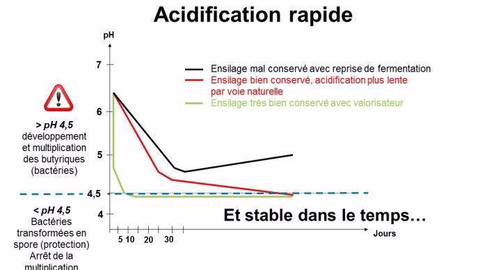 Acidification