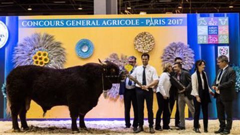 Jonas s'impose dans la catégorie mâle. (©Sia) Jonas s'impose dans la catégorie mâle. (©Sia)