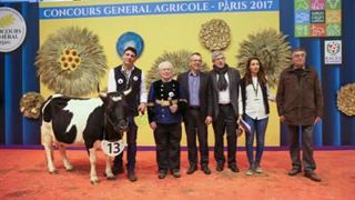 Holly est la grande championne de la race Bretonne pie noir. (©Sia) Holly est la grande championne de la race Bretonne pie noir. (©Sia)