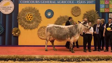 Doliprane, la grande championne vosgienne. (©Sia) Doliprane, la grande championne vosgienne. (©Sia)