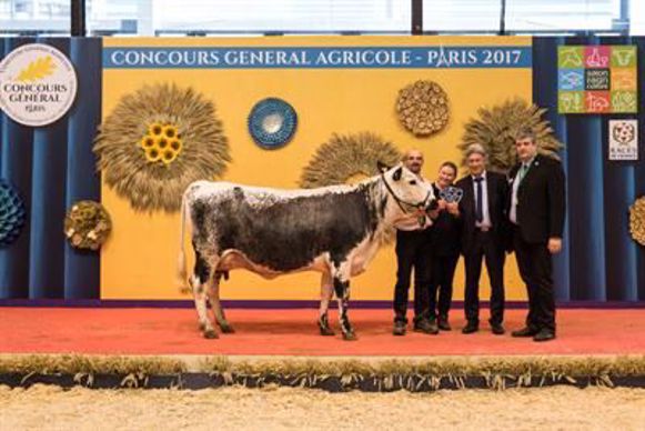 Girly obtient le prix de la meilleure mamelle.