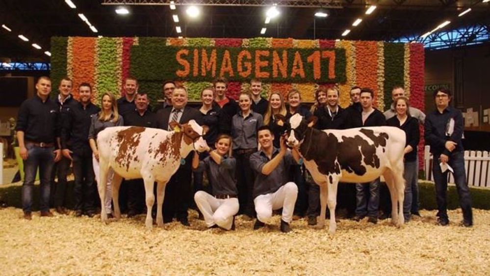 Vente Paris Dairy Sale au Simagena 2017. La génisses rouge Vekis DG NH LOLA PP Red (181 ISU), née aux Pays-Bas, s'est vendue 9 500 €. (©Ily Genetics)