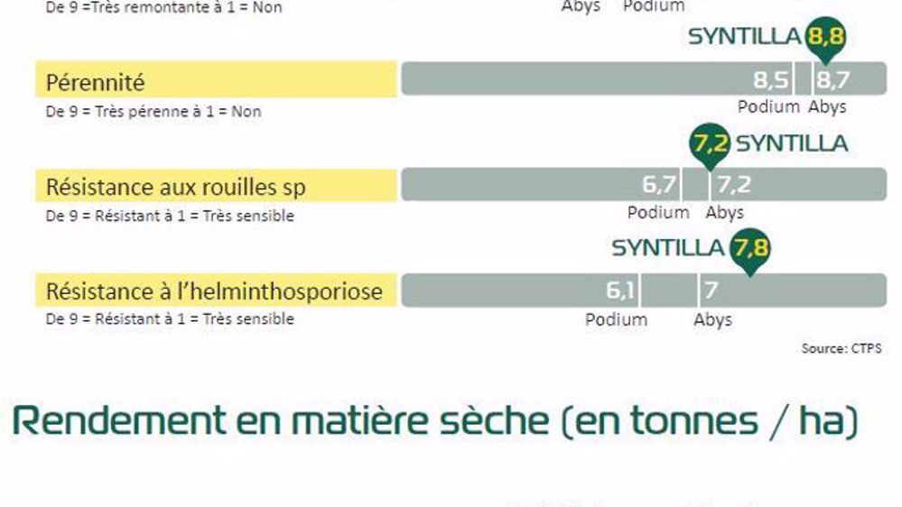 Le RGI Syntilla de Semences de France est une variété inscrite au CTPS. (©DR)