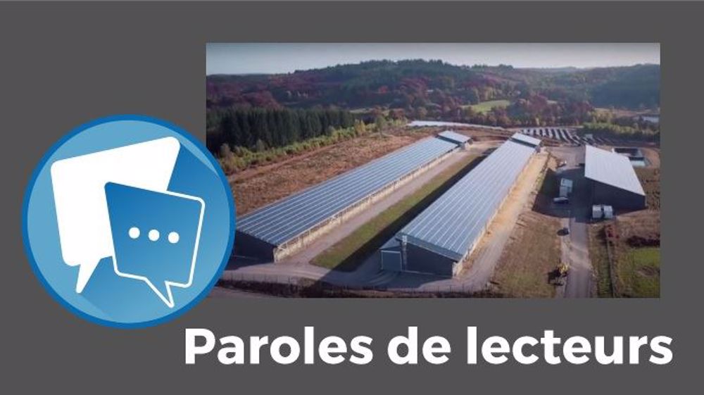 « Les animaux sont souvent mieux logés dans les grandes stabulations