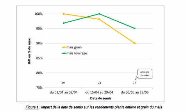 Date de semis