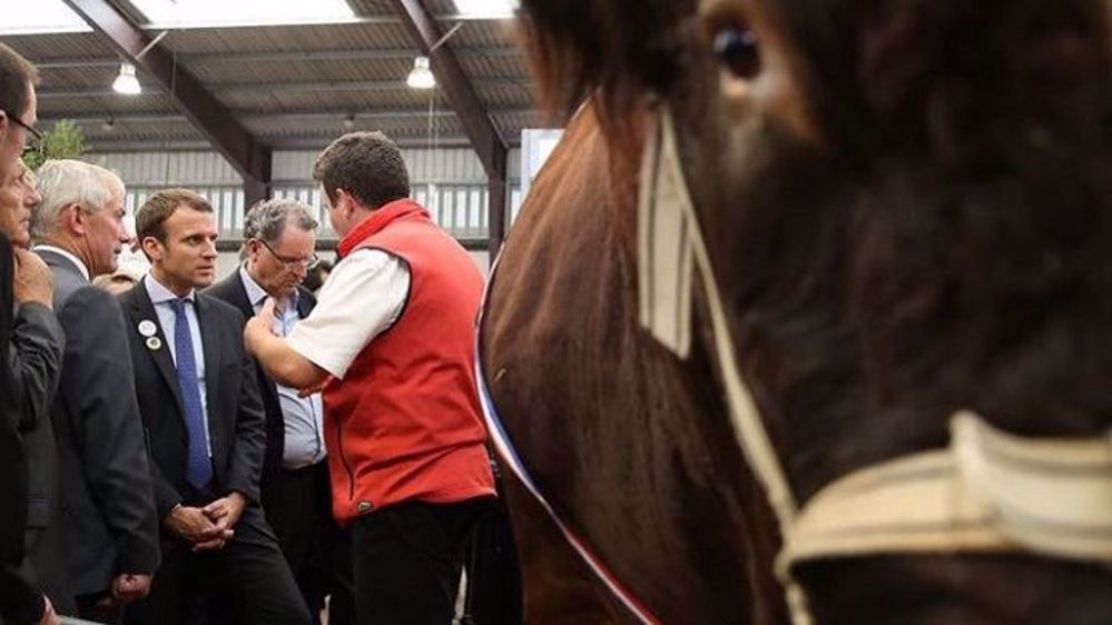 Emmanuel Macron, lors de sa visite du salon de l'agriculture à Paris. (©Compte instagram d'Emmanuel Macron)