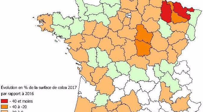Les conditions météorologiques défavorables ont ent rainé  des baisses de surfaces localement fortes en colza entre 2016 et 2017
