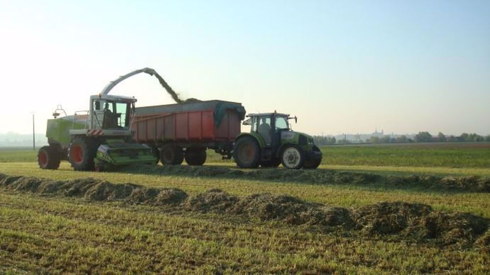 Le stade début épiaison est souvent le compromis entre coût de récolte et qualité du fourrage pour constituer des stocks en ensilage ou en enrubannage.(©Gnis)