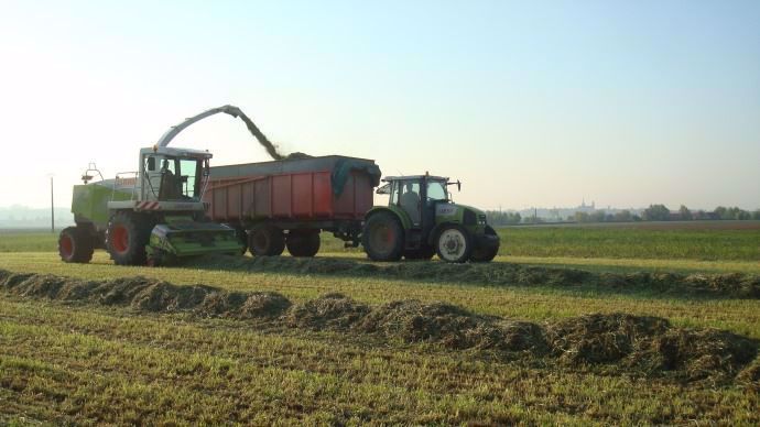 RGI Ensilage