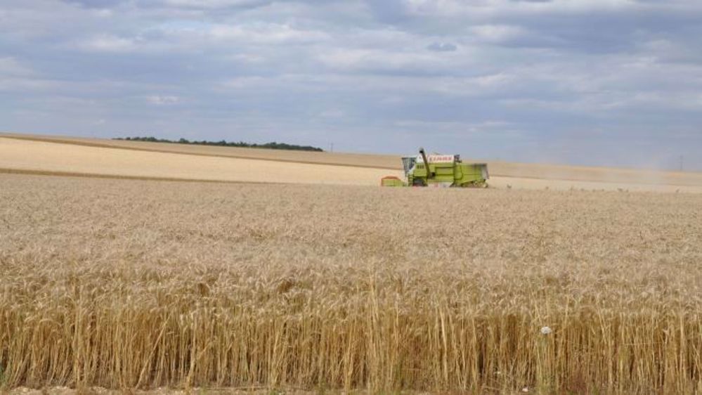 Afin de suivre l’évolution de la récolte 2017 en temps réel, Arvalis lance une grande enquête collaborative. (©NCornec/Arvalis)