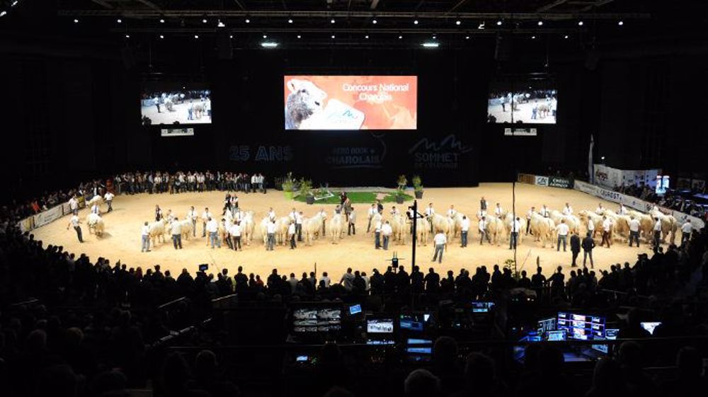 Le ring du sommet de l'élevage version 2016. (©Rémi Boissau)