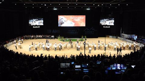 Le ring du sommet de l'élevage version 2016. (©Rémi Boissau)