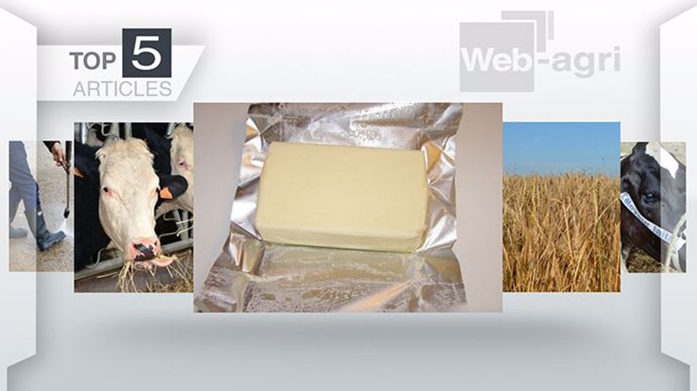 Les articles les plus consultés sur Web-agri cette semaine. (©Création Terre-net Média) Les articles les plus consultés sur Web-agri cette semaine. (©Création Terre-net Média)