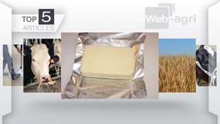 Les articles les plus consultés sur Web-agri cette semaine. (©Création Terre-net Média) Les articles les plus consultés sur Web-agri cette semaine. (©Création Terre-net Média)