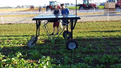 EcoRobotix lance sa pré-série de désherbage en grandes cultures. (©Terre-net Média)