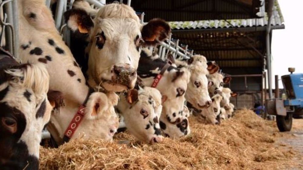 À fin septembre, par rapport à septembre 2016, le prix payé aux producteurs par Lactalis aura augmenté de plus de 18 % ». (©Terre-net Média)