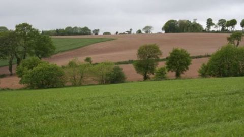 Retrouvez tous les prix du foncier agricole 2016 en Bretagne. (©Terre-net Média) 