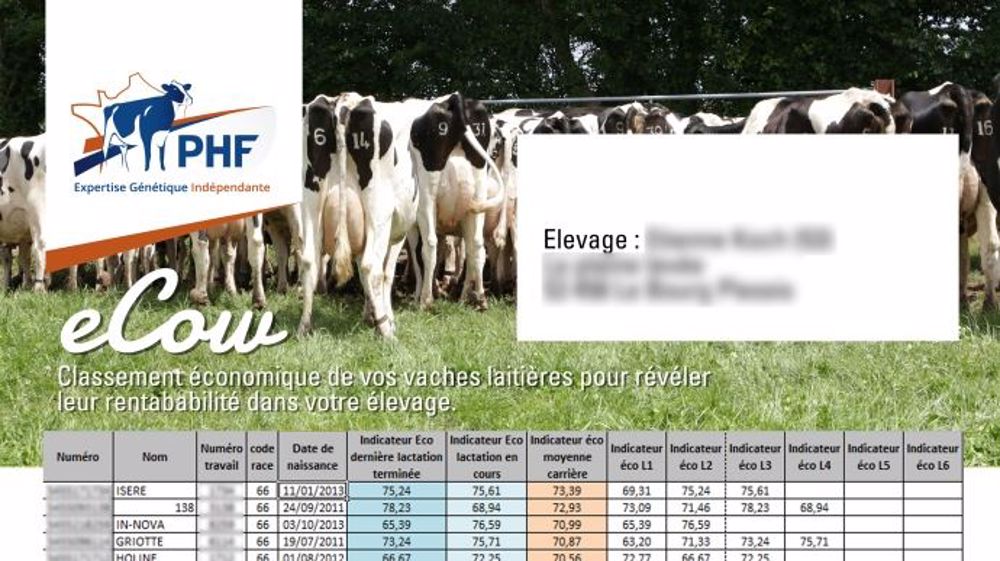 Le logiciel eCow classe les vaches selon leur impact économique dans l'élevage (©Prim'holstein France) Le logiciel eCow classe les vaches selon leur impact économique dans l'élevage (©Prim'holstein France)