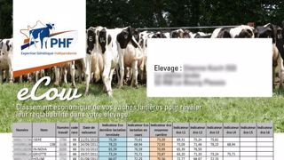 Le logiciel eCow classe les vaches selon leur impact économique dans l'élevage (©Prim'holstein France) Le logiciel eCow classe les vaches selon leur impact économique dans l'élevage (©Prim'holstein France)