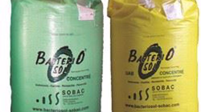 Bactériosol concentré de Sobac
